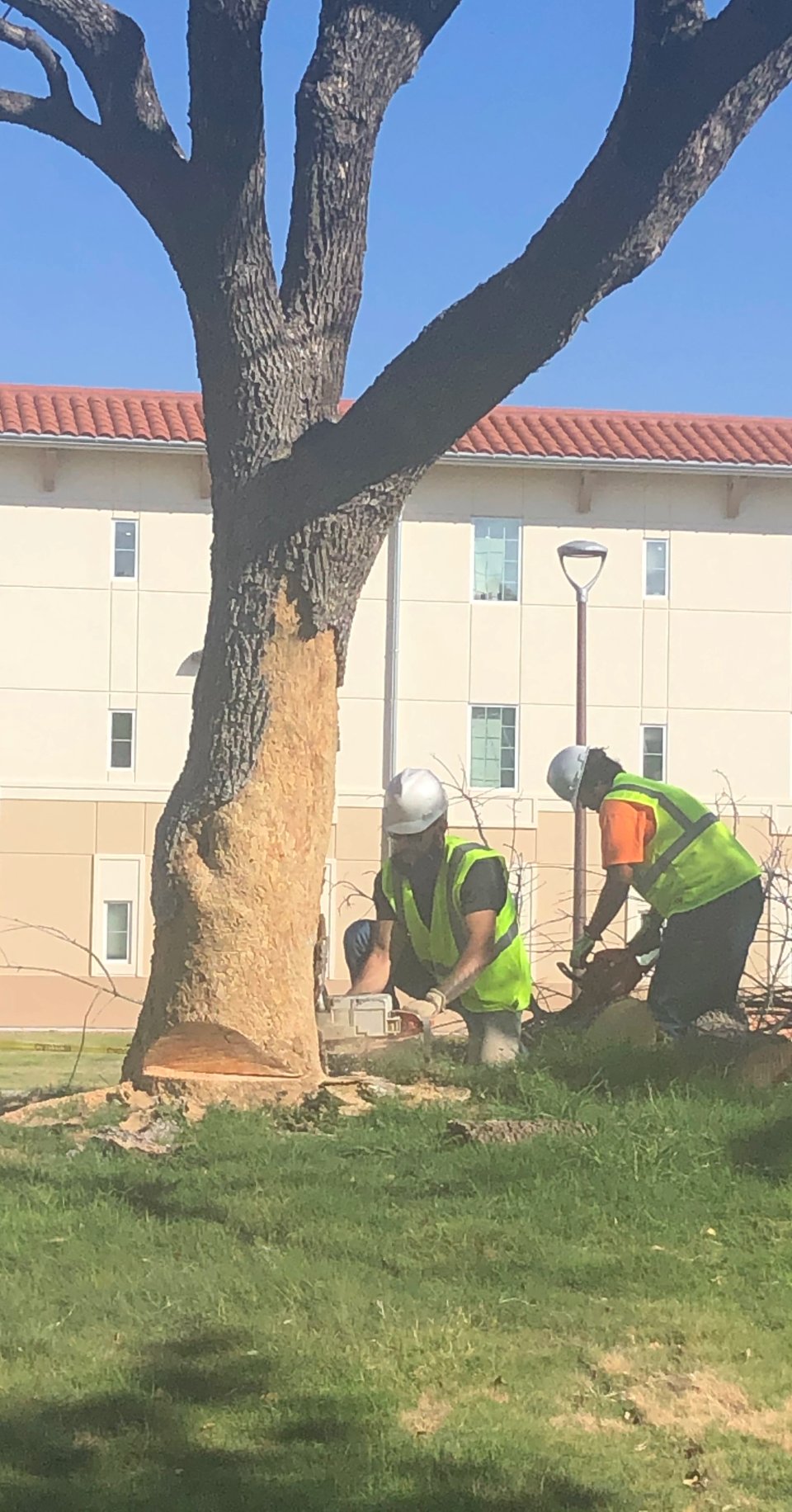 Landscape maintenance crew working on a Las Cruces property by Brainard's Greenscapes