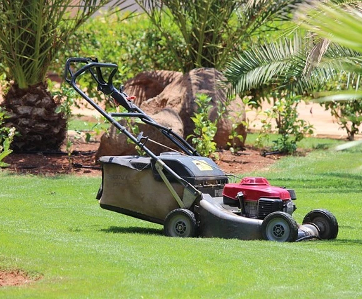 Landscape maintenance and seasonal refresh near NMSU in Las Cruces