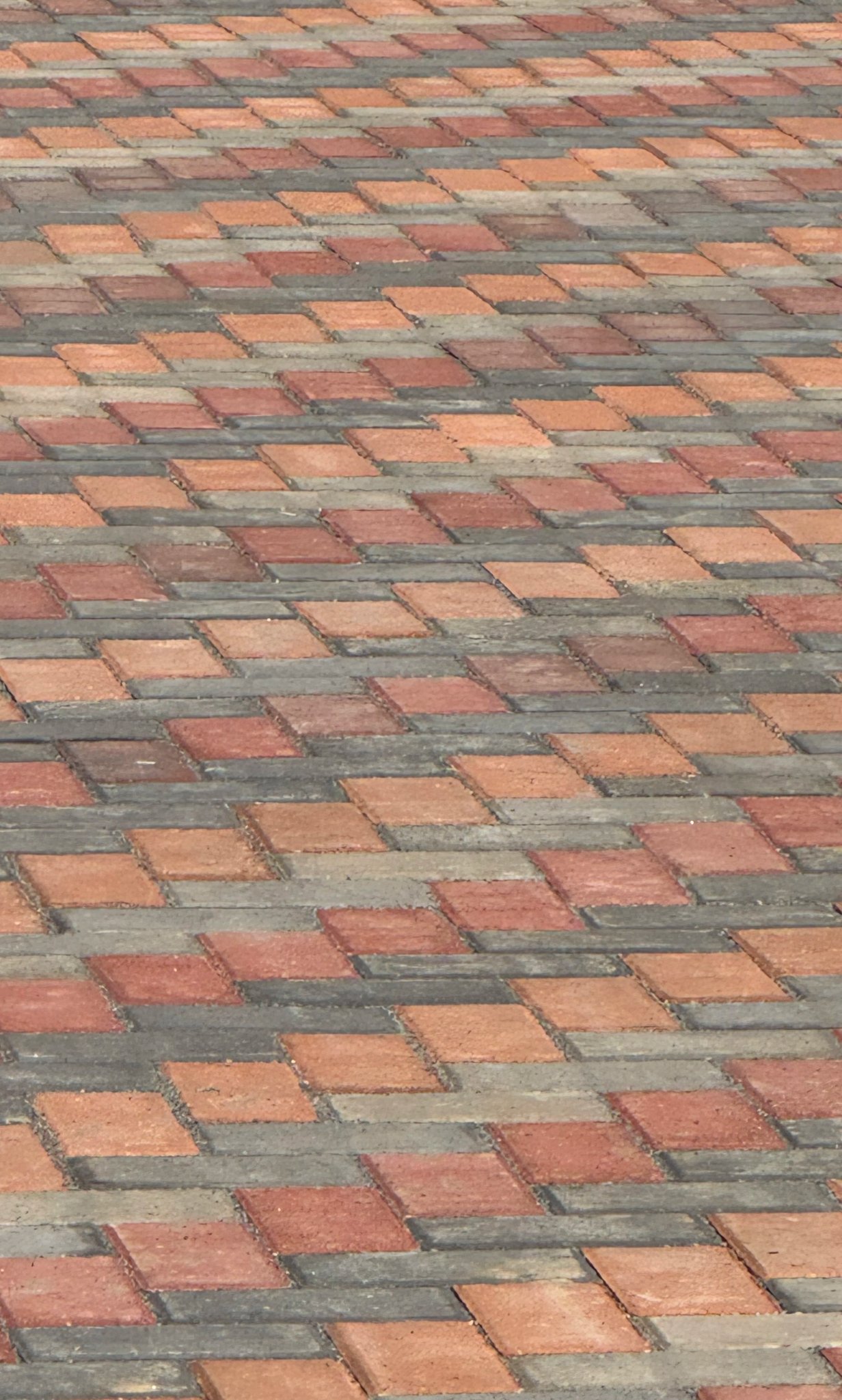 Brainard's Greenscapes paver patio installation in Las Cruces