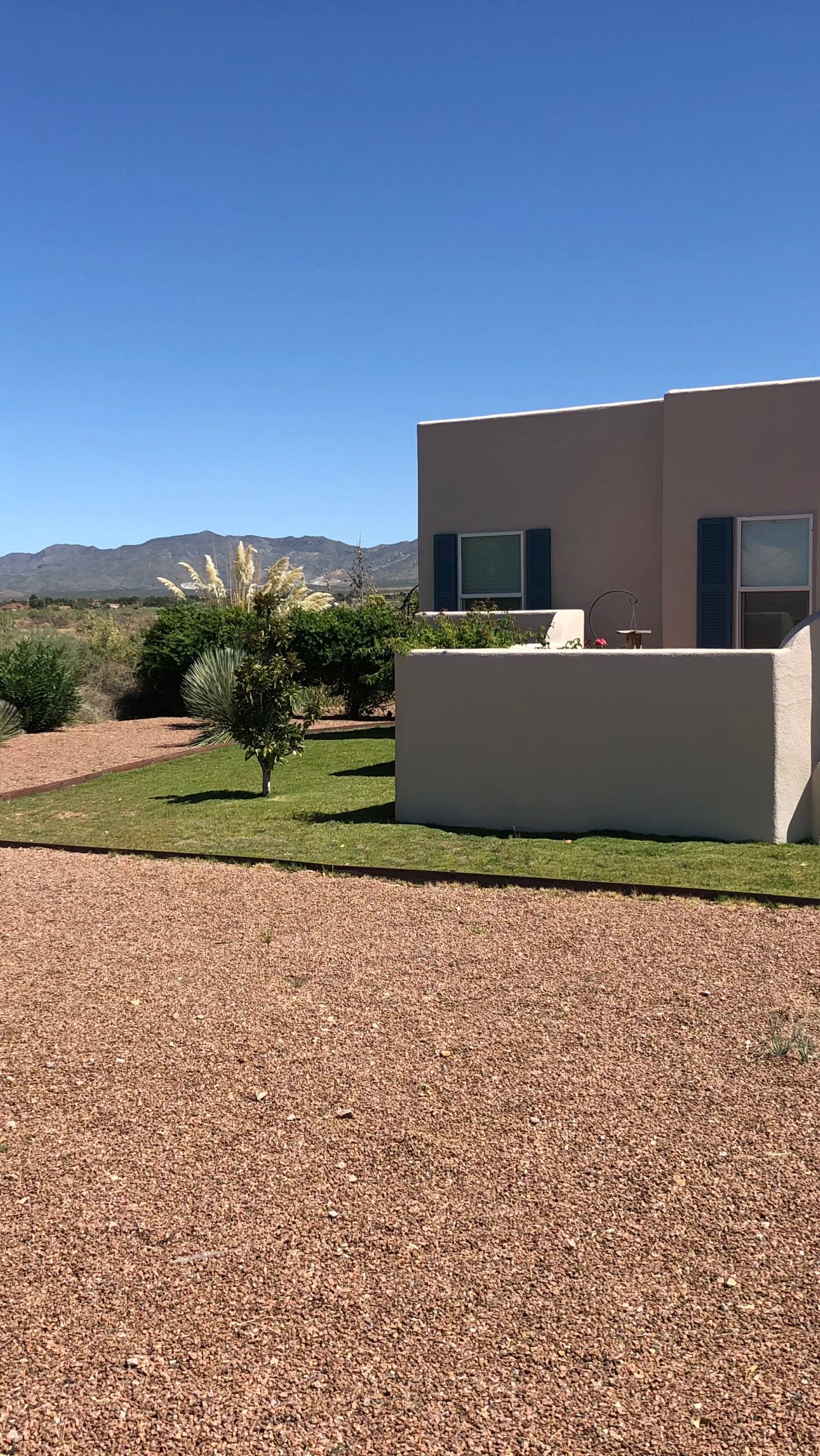 Healthy lawn maintained by Brainard's Greenscapes residential sprinkler system in Las Cruces