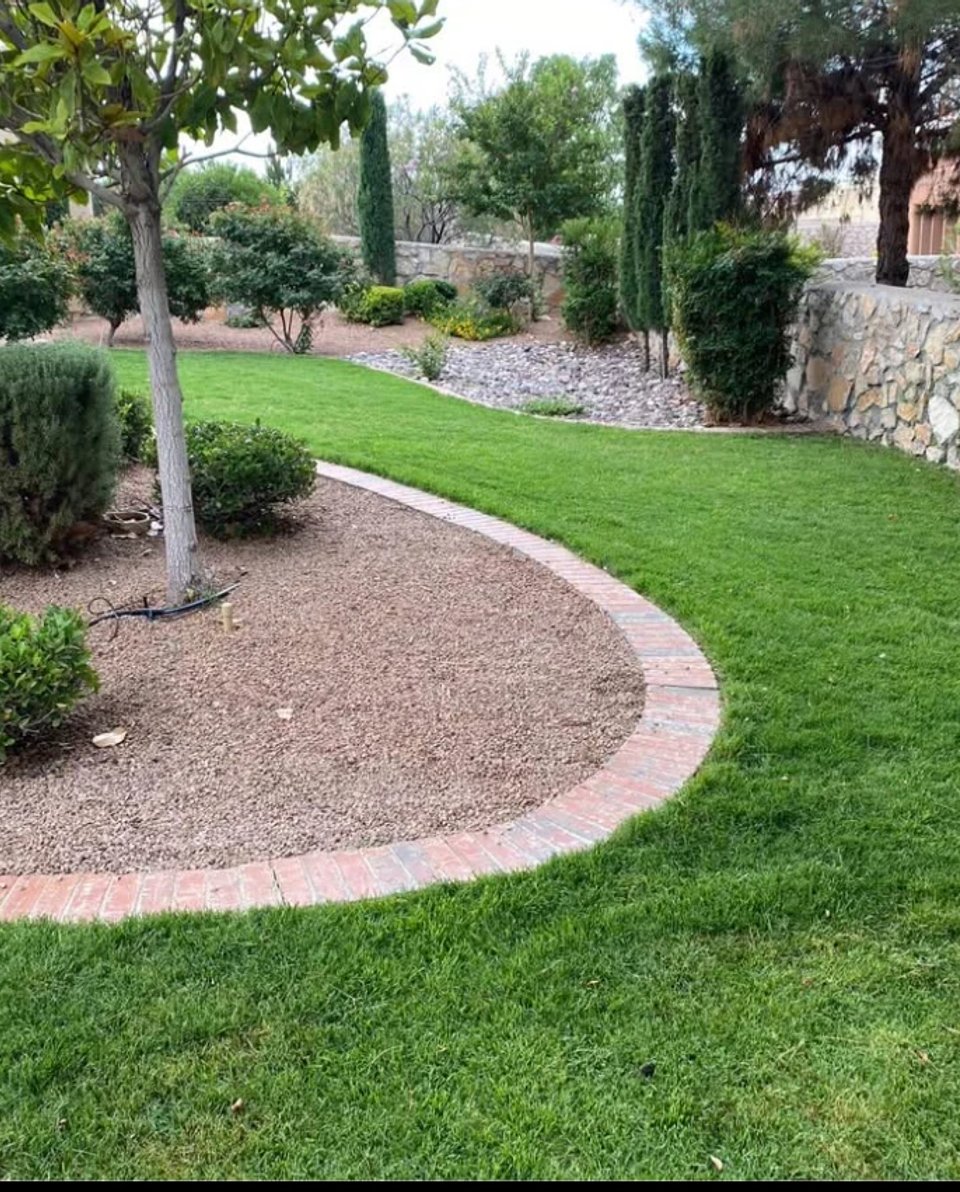 Fresh-cut warm-season sod laid by Brainard's Greenscapes in Las Cruces