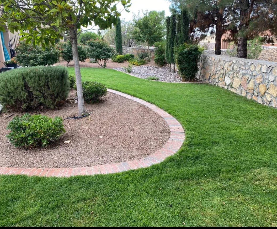 Newly laid sod backyard lawn in the Anthony, NM area
