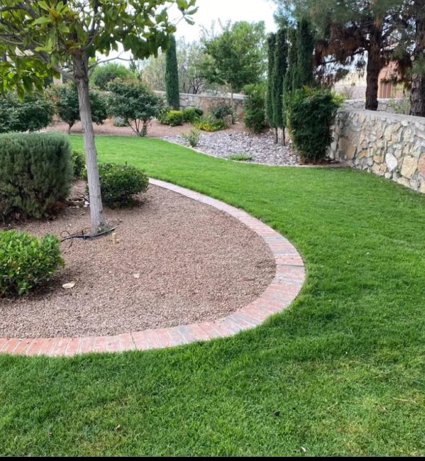 Manicured residential landscape with fresh sod, shrubs, and stone-edged gravel beds