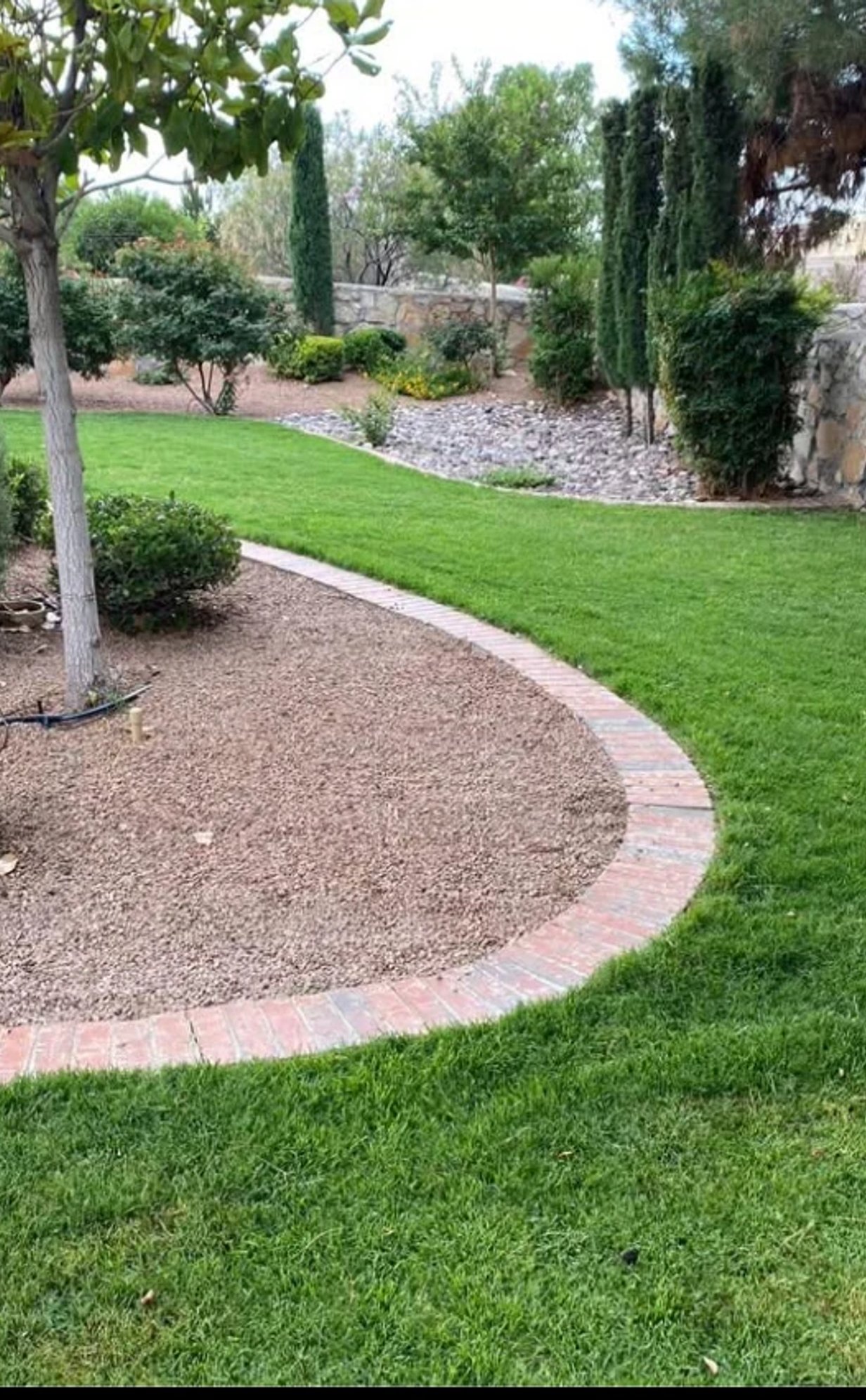 Healthy lawn maintained by Brainard's Greenscapes smart sprinkler controller installation in Las Cruces