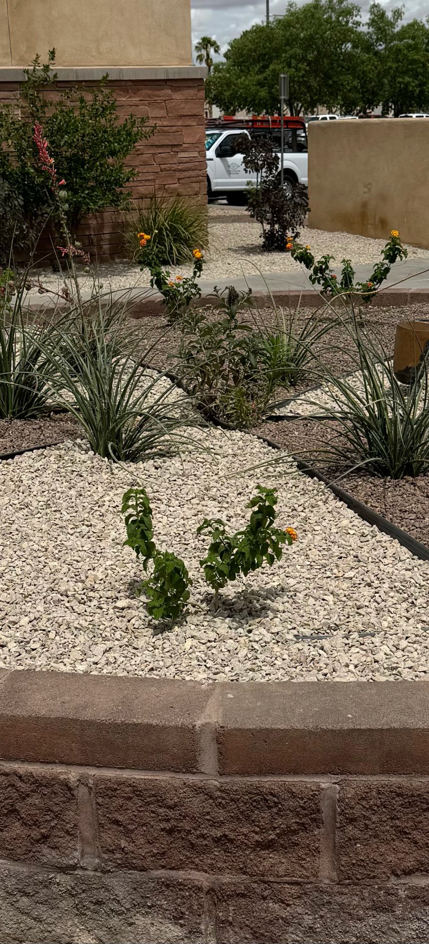 Stone-built raised garden bed by Brainard's Greenscapes in Las Cruces, NM