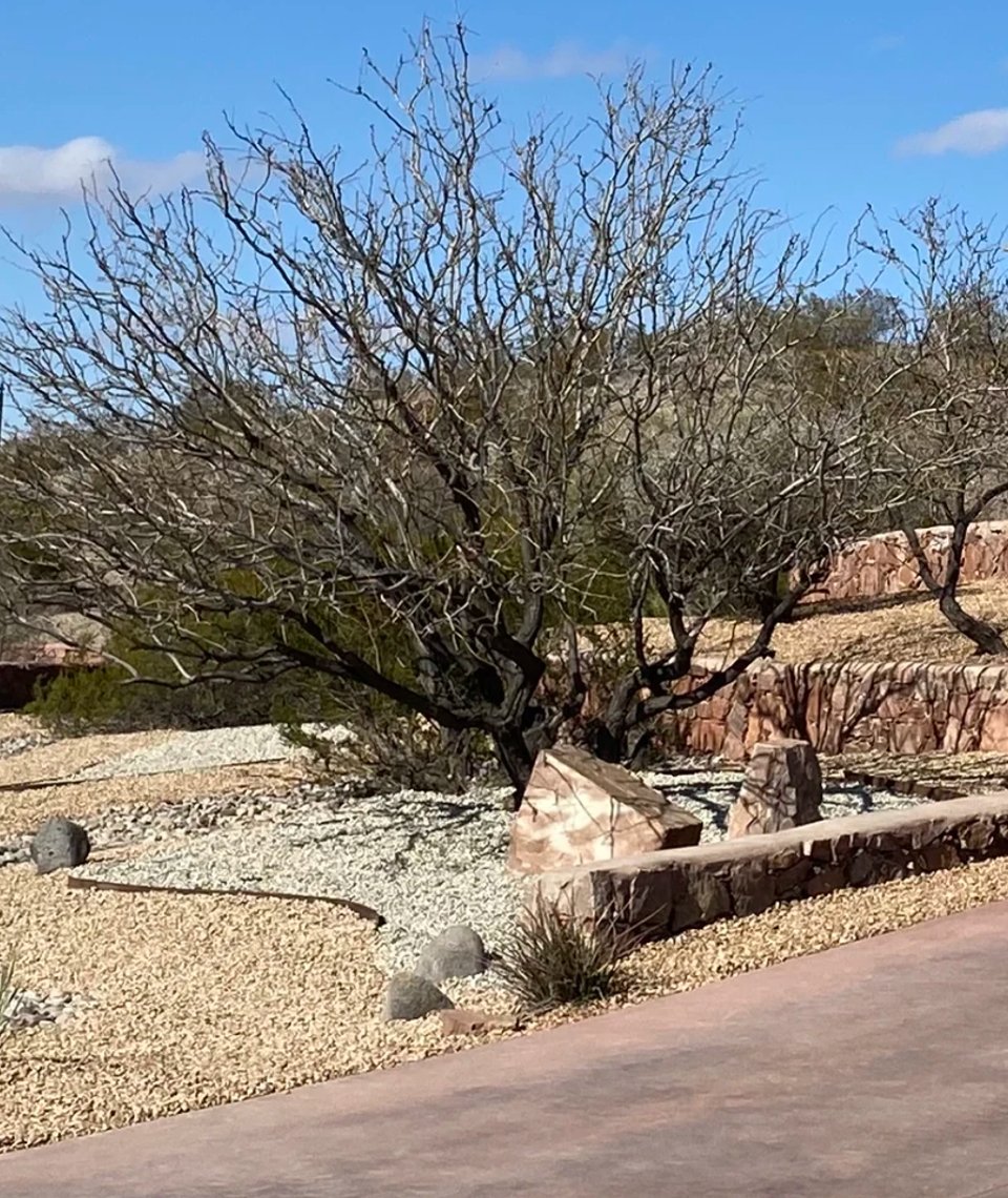 Custom raised stone-walled garden bed installation by Brainard's Greenscapes in Las Cruces