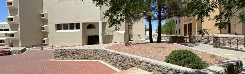Brainard's Greenscapes raised garden bed installation in Las Cruces