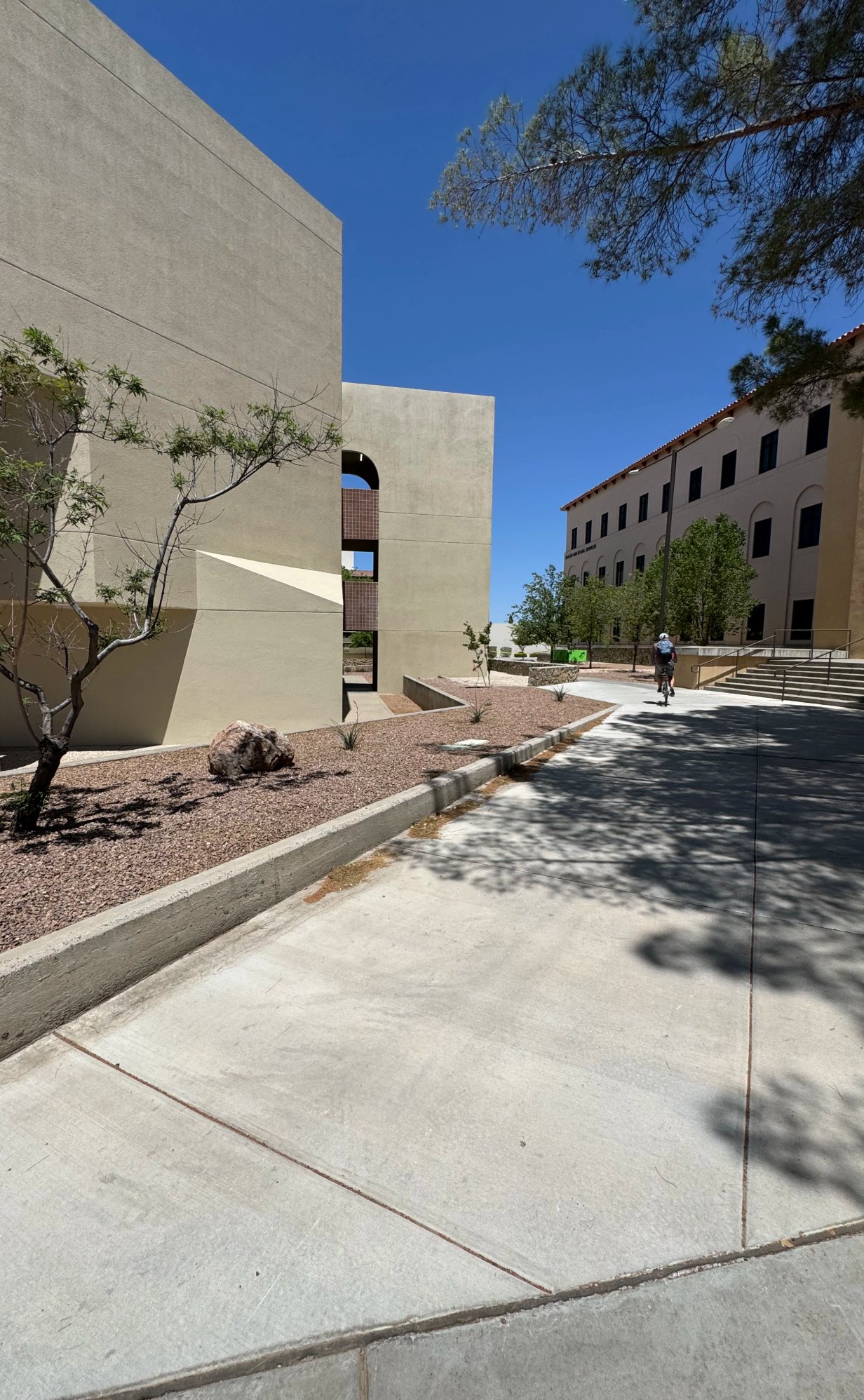 Paver walkway leading to a front entry by Brainard's Greenscapes in Las Cruces