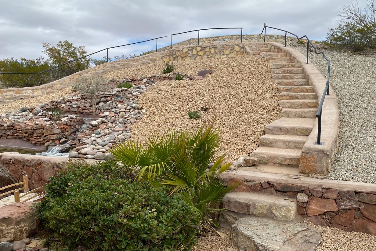 Campus View bermuda-to-xeriscape lawn conversion near NMSU