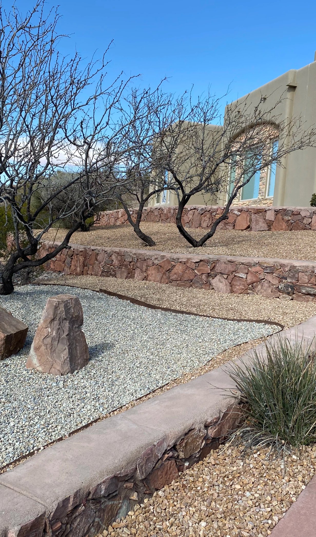 Established planting installation with curated plant palette by Brainard's Greenscapes in Las Cruces