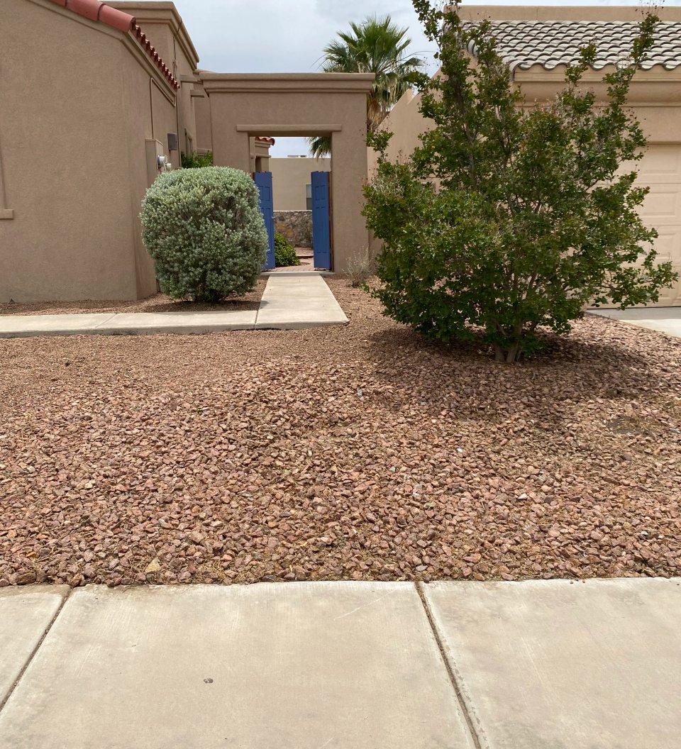 Terraced xeriscape on a Picacho Hills hillside lot