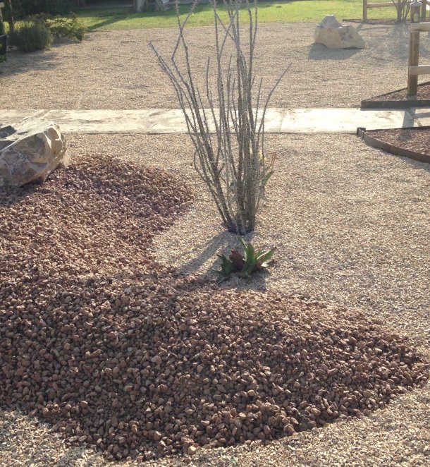 Layered gravel xeriscape with ocotillo and accent boulder along a wood-rail fence