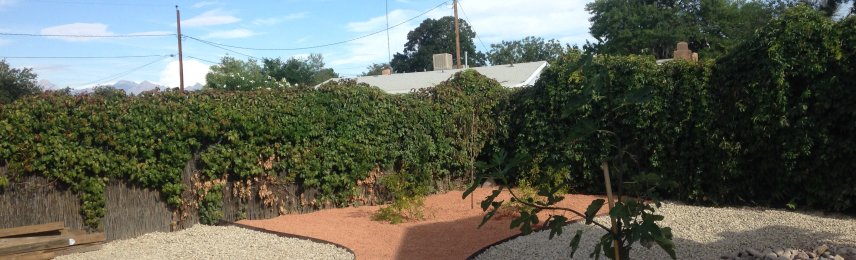 Brainard's Greenscapes sprinkler system installation in Las Cruces