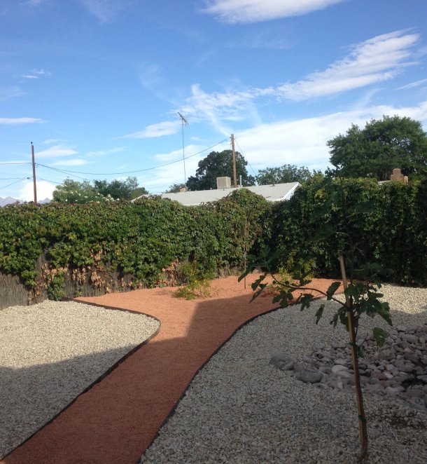 Backyard xeriscape with curving red walkway between gravel beds and a hedge wall