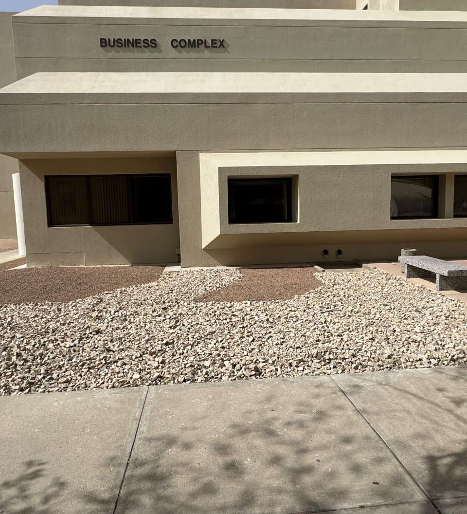 Desert xeriscape with native plantings on a large lot in Doña Ana, NM