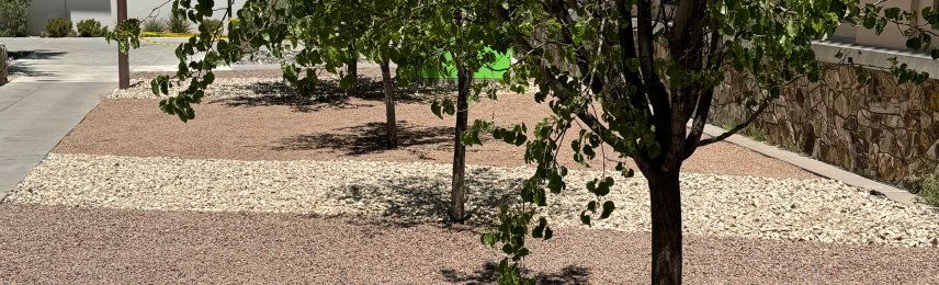 Brainard's Greenscapes xeriscape installation in Las Cruces