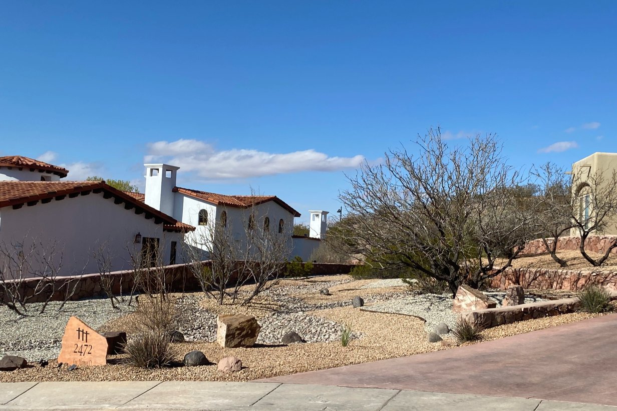 Native replanting project after salt cedar removal in Mesilla