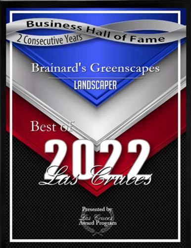 2022 award