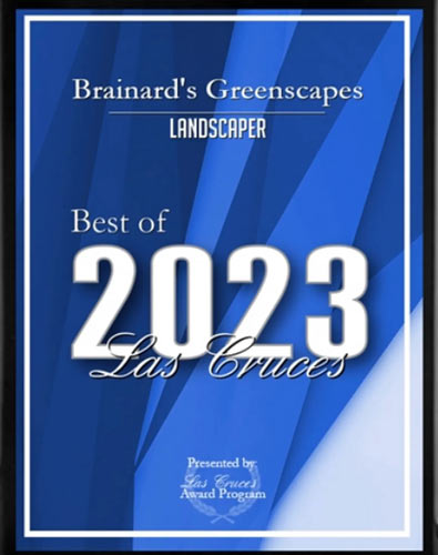 2023 award
